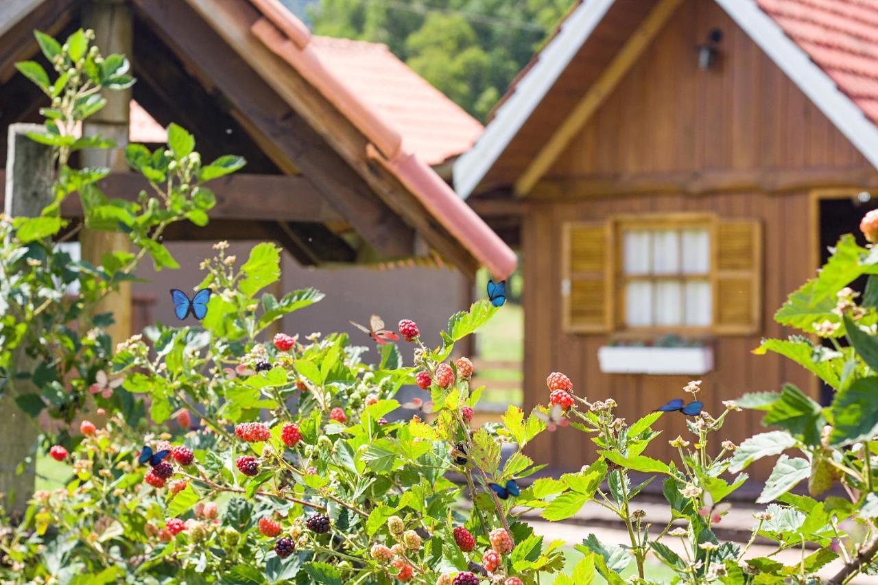 Pousada Rural Pavao - Suites E Chales Urubici Εξωτερικό φωτογραφία